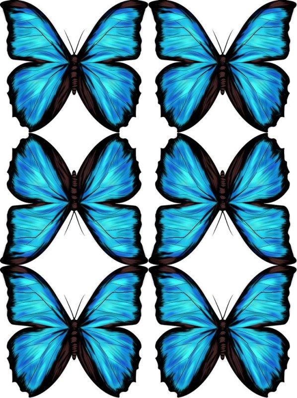 Вафельные бабочки голубые