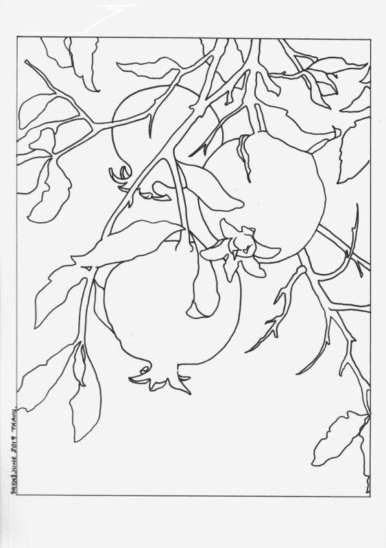 Контур рисунка для витража