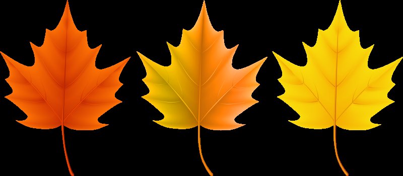 Листья для вырезания цветные