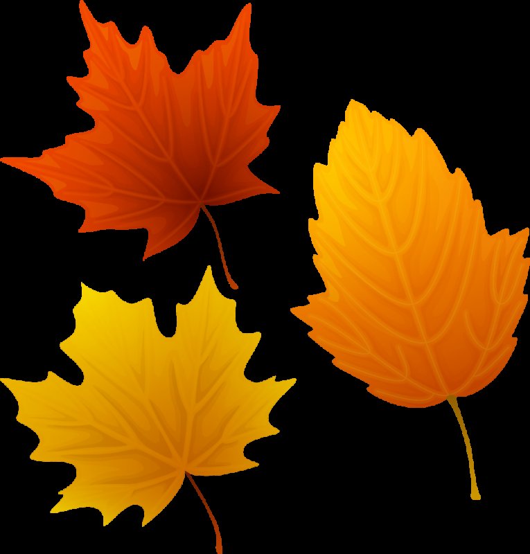 Осень листья