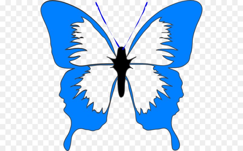 Клипарт бабочки на прозрачном фоне
