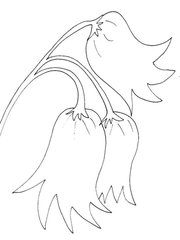 Колокольчик цветок раскраска для детей