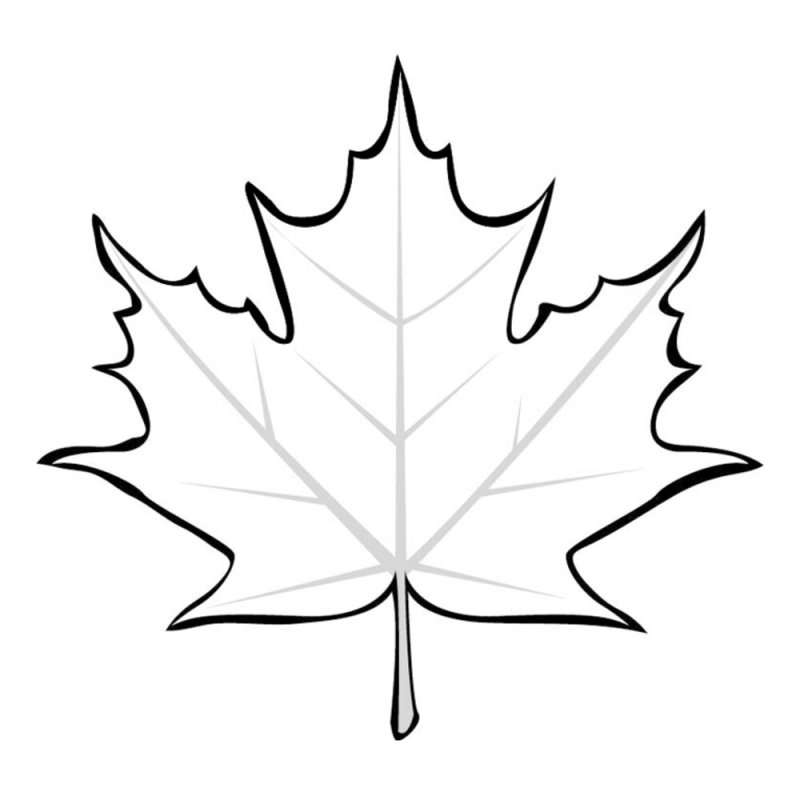 Кленовый лист раскраска
