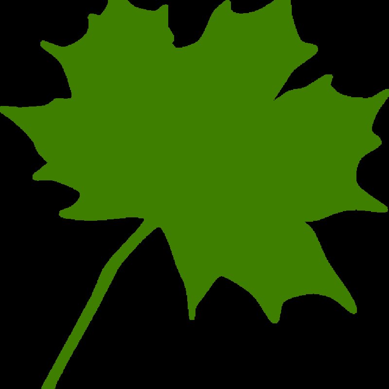 Кленовый лист рисунок