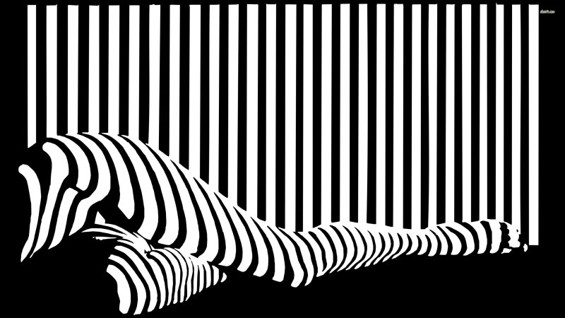 Черно белые обои