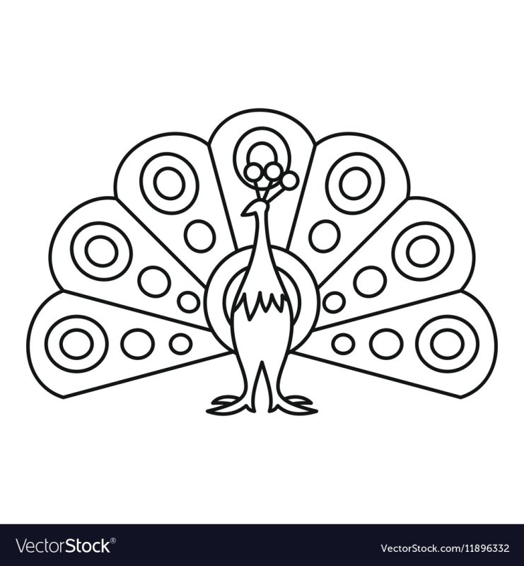 Павлин раскраска для детей