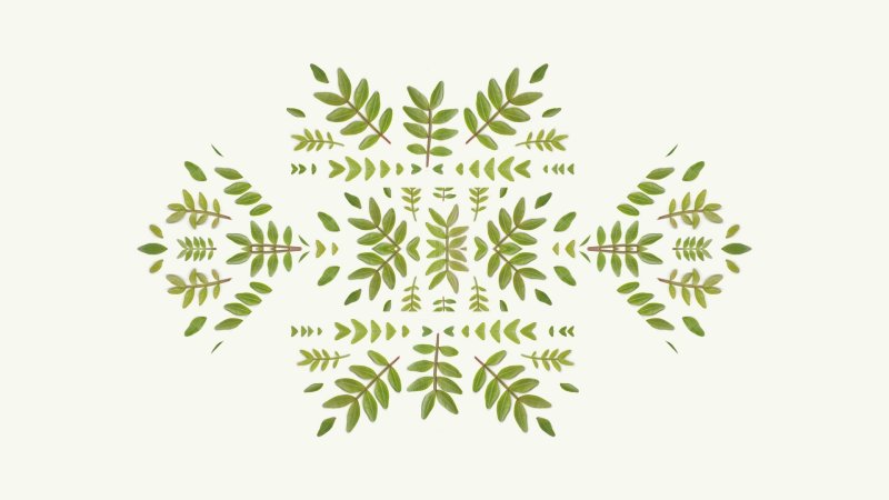 Папоротник орнамент