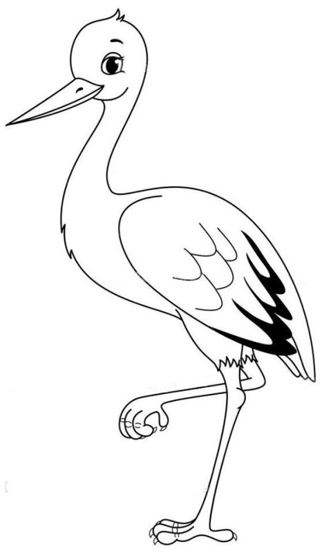 Аист раскраска