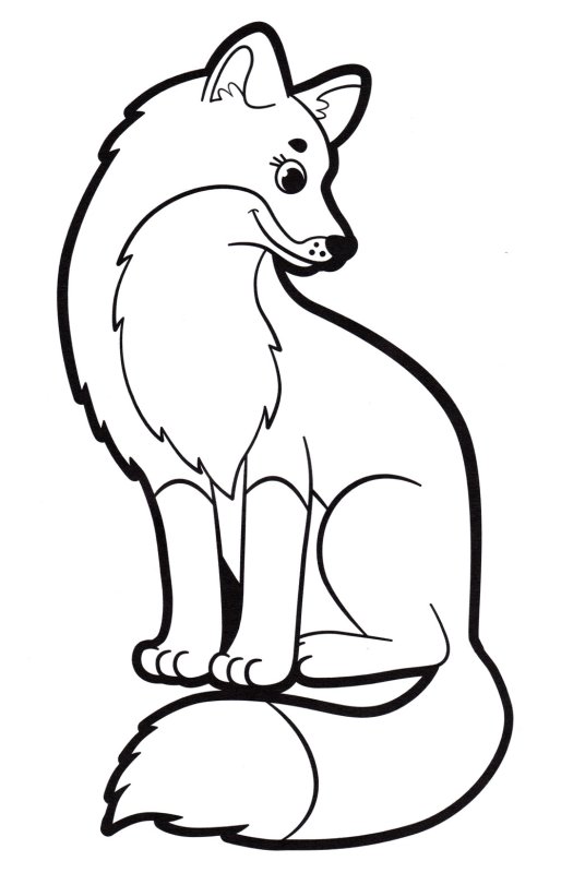 Раскраска лисы для детей