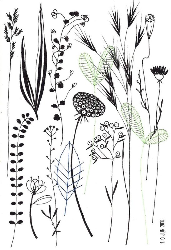 Стилизованные травы