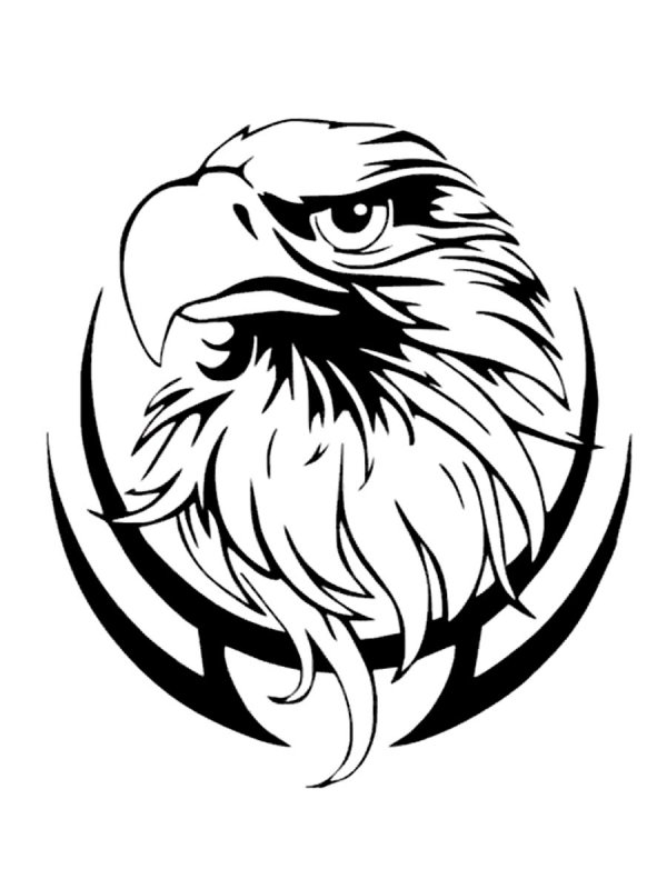 Ястреб тату эскиз