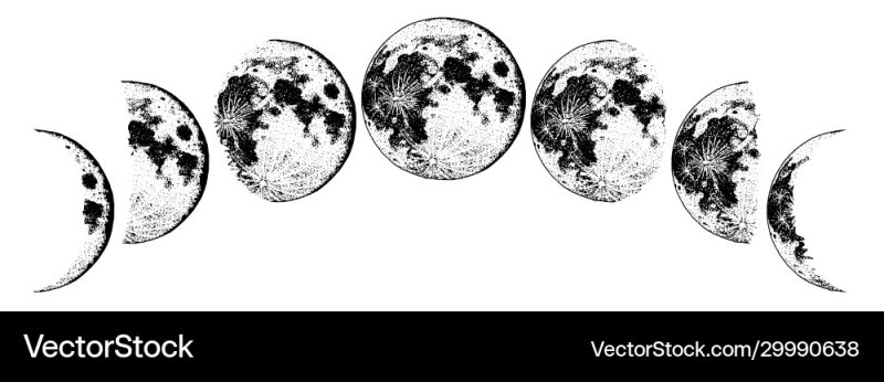 Фазы Луны вектор