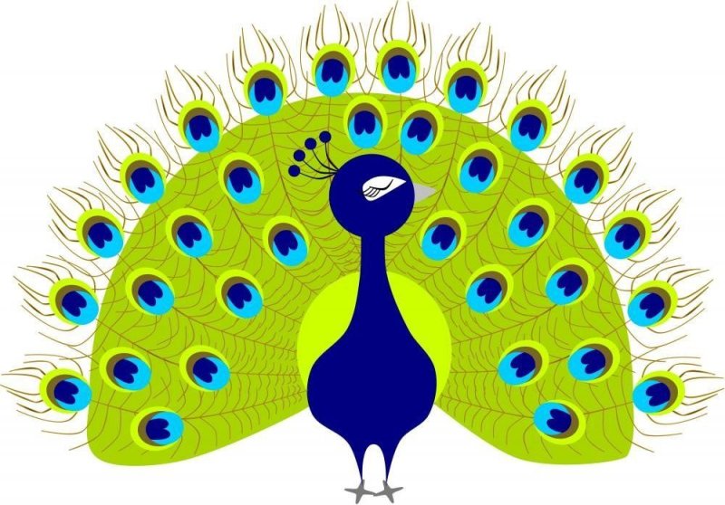 Рисунок павлина для детей