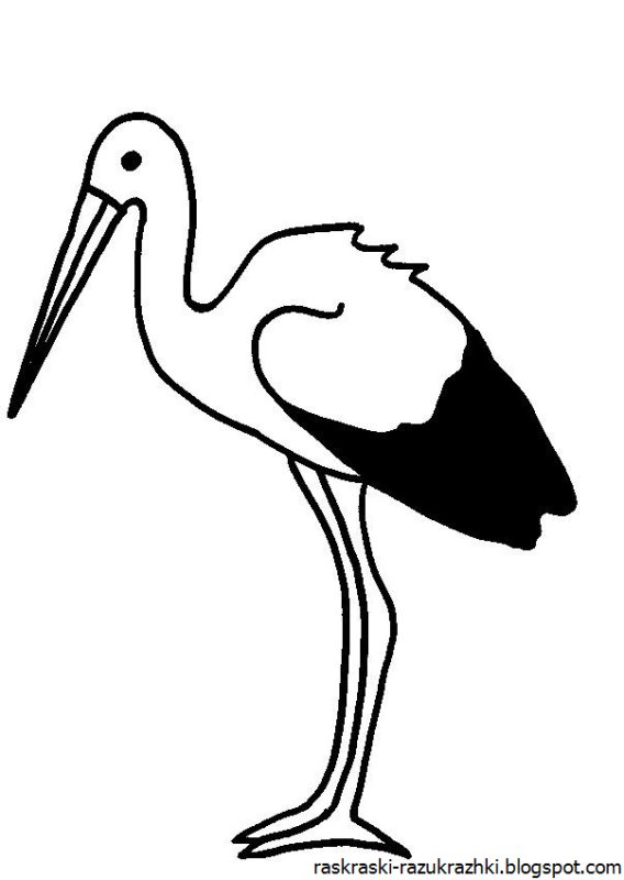 Аист раскраска