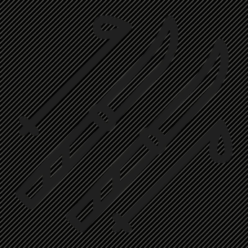 Лыжи пиктограмма