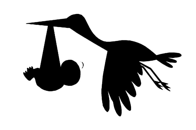 Аист шаблон