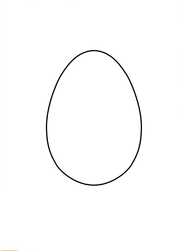 Овал яйца