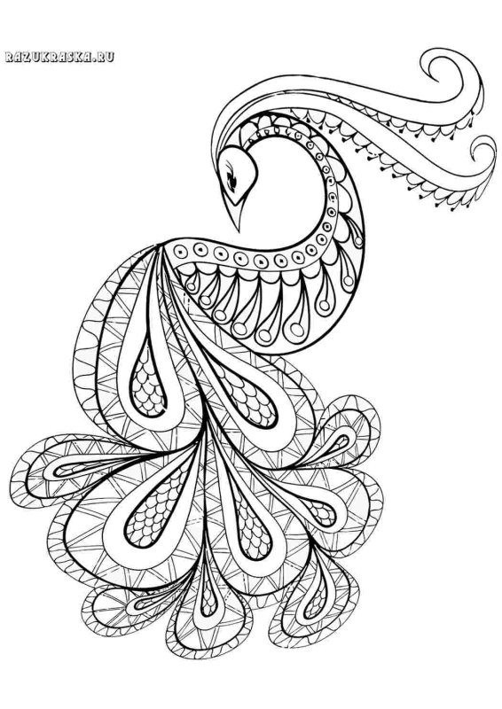 Сказочная птица раскраска