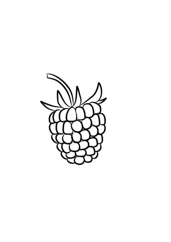 Ягода малина разукрашка