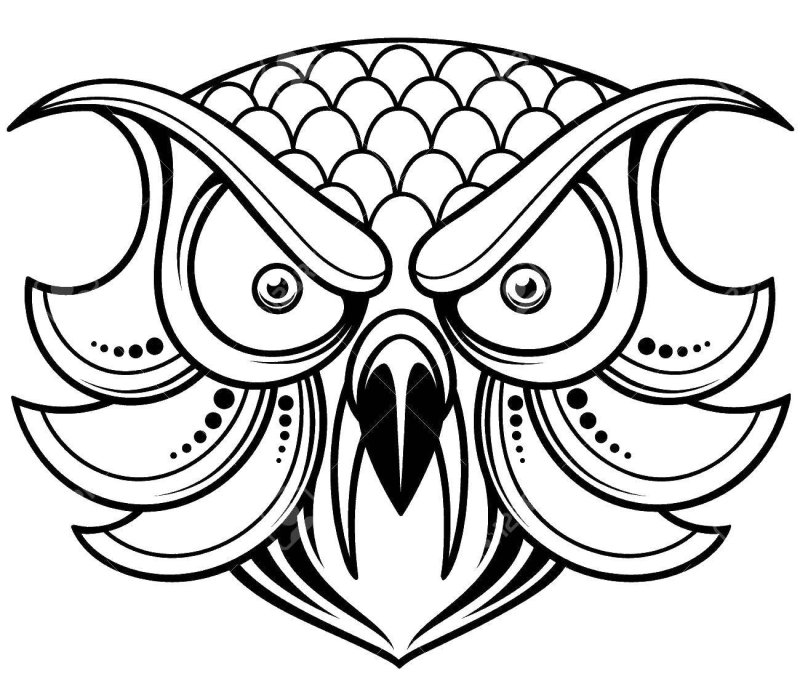 Голова Совы раскраска