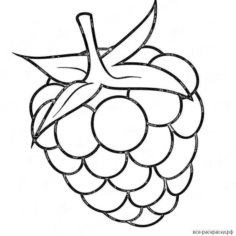 Малина раскраска для детей