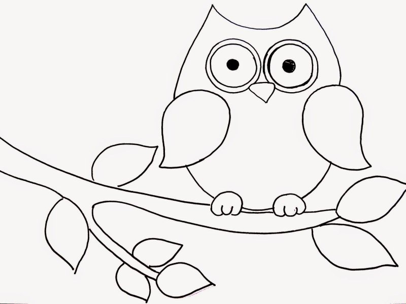 Аппликация шаблон