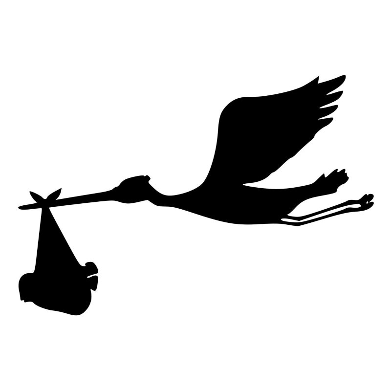 Аист с ребенком черно белый