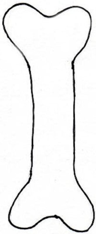 Кости Кощея Бессмертного