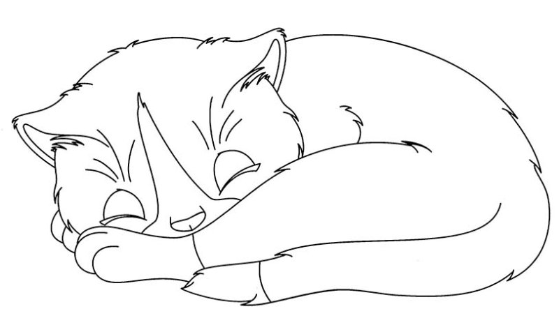 Кошка спит раскраска