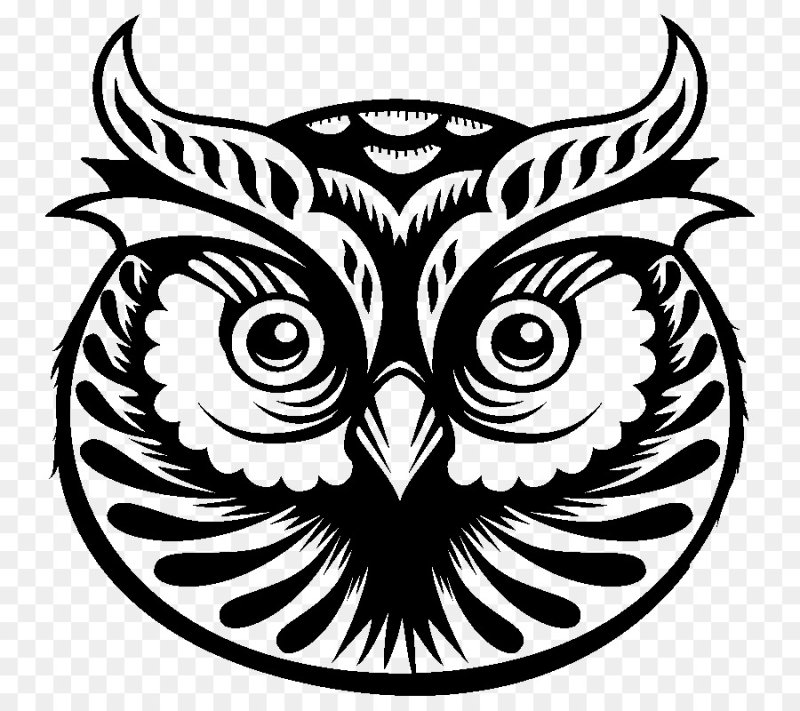 Сова рисунок