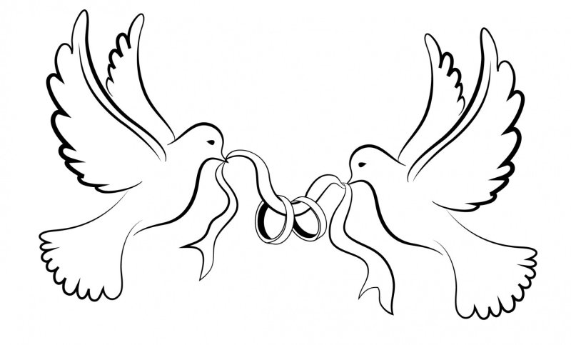 Голуби на свадьбу рисунок