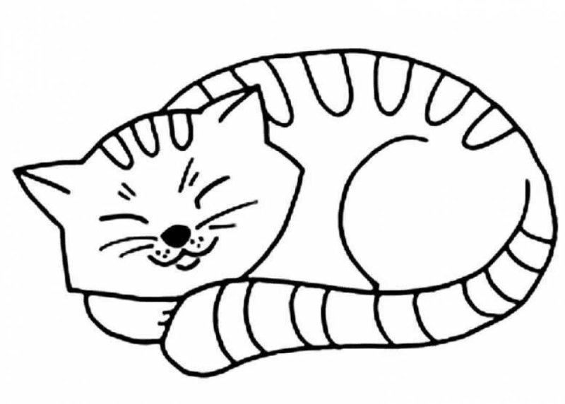 Кошка полосатая раскраска