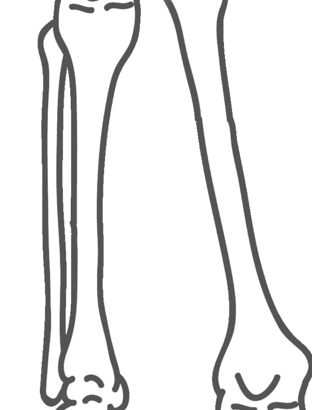 Кости Кощея Бессмертного трафарет