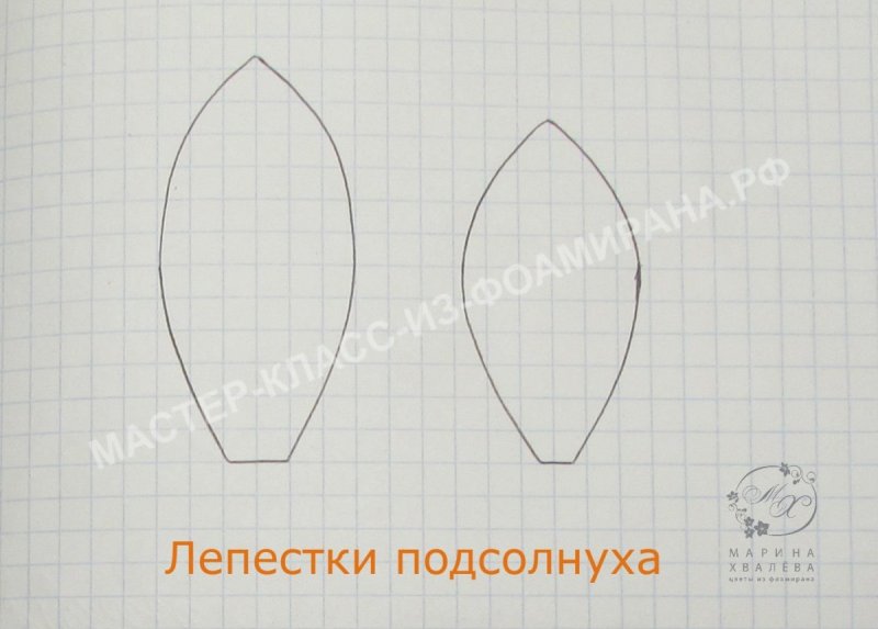 Лепесток подсолнуха трафарет