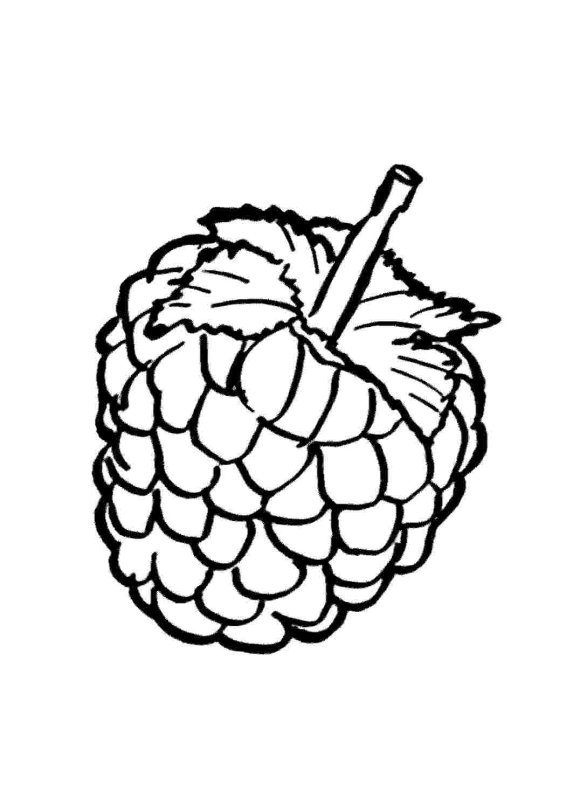 Раскраски для детей Малиа