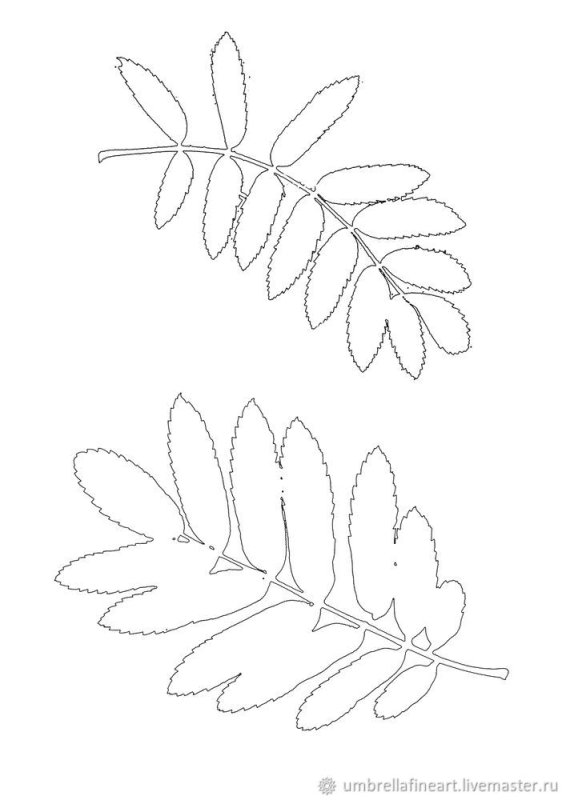 Рябиновый лист трафарет для вырезания