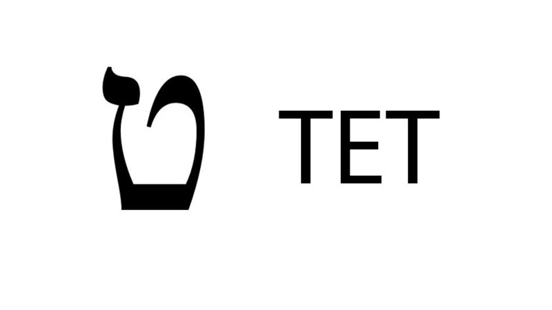 Буква Тэта иврит