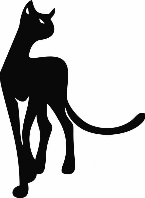 Очертание кошки