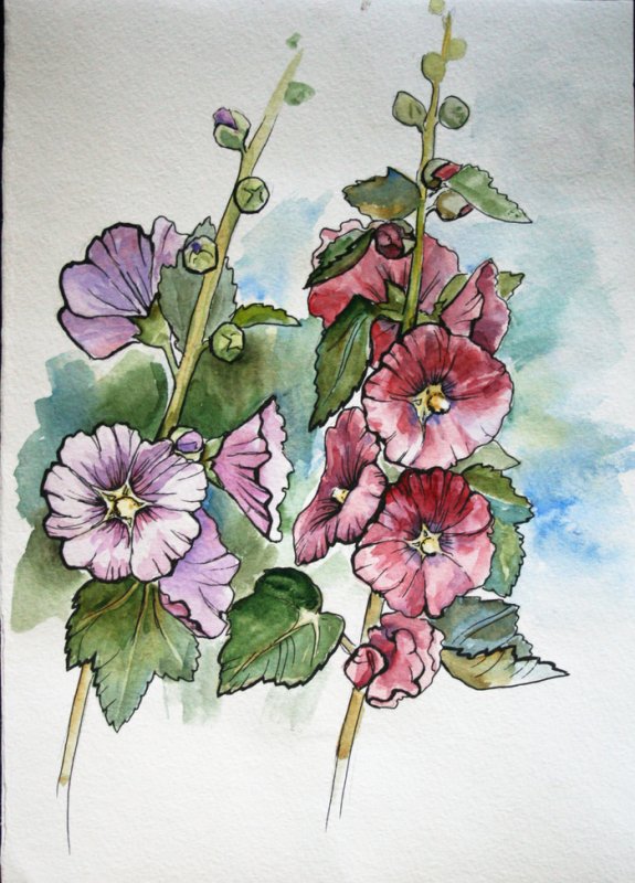 Антуан Шазаль Мальва