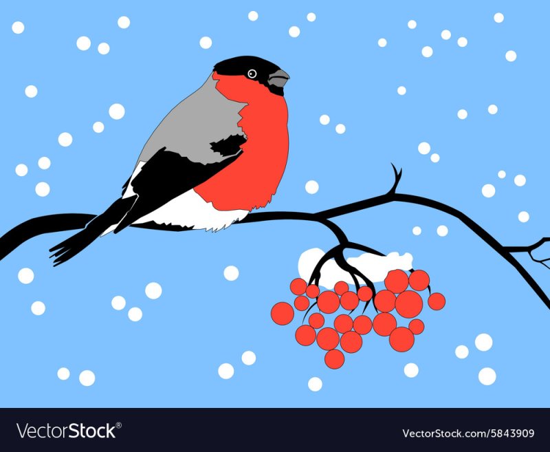 Снегири на ветке