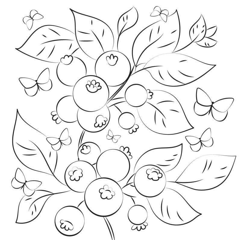 Раскраска ягоды черника