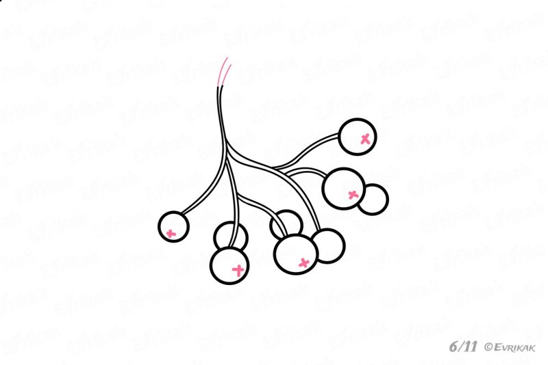 Нарисовать рябину