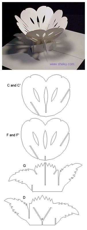 Схемы объемных цветов из бумаги