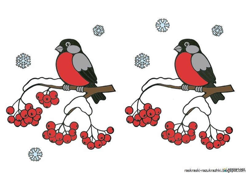 «Снегири на ветке» Комарова, 41