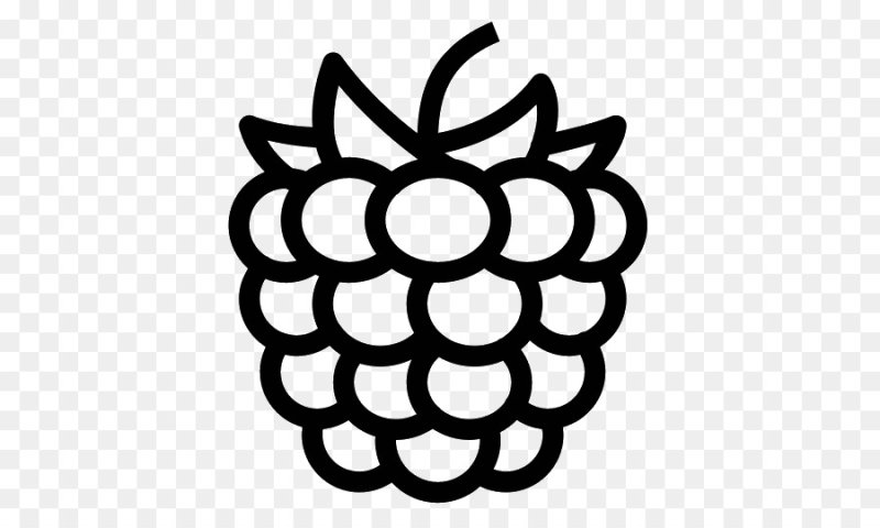 Малина трафарет