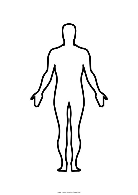Контур человеческого тела