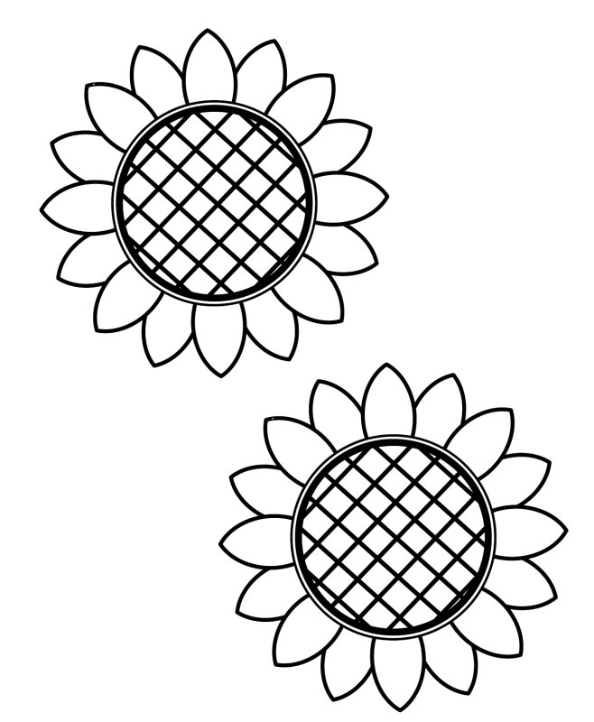 Подсолнух шаблон