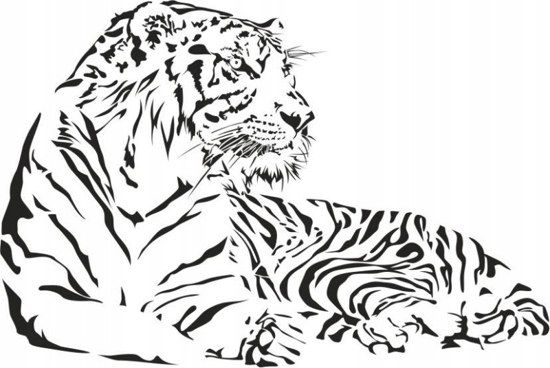 Векторный рисунок тигра