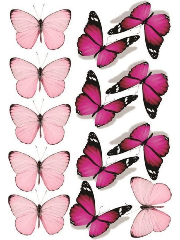 Бабочки розовые