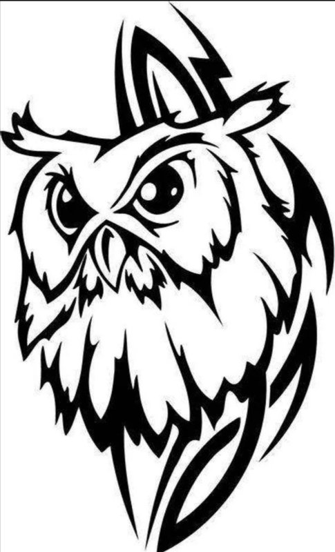 Силуэт Совы